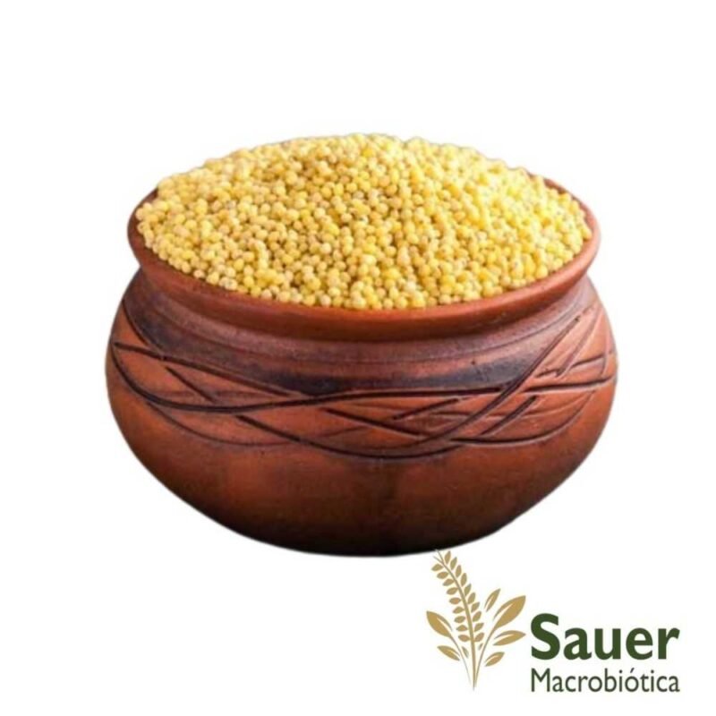 92BA6D3434042871282299540E6B8464